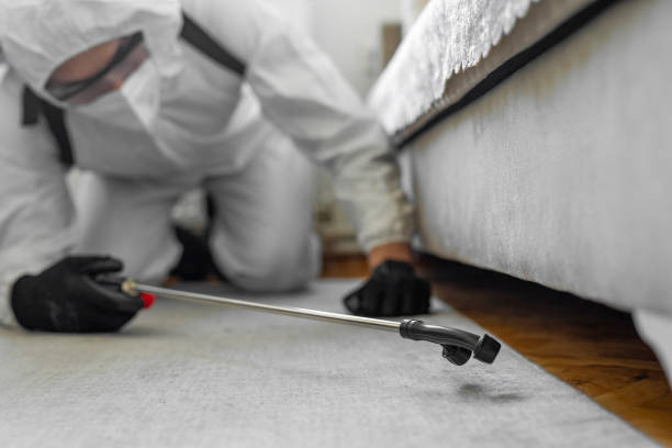 Professional Bed Bug Control technician working in Ridgewood, NJ