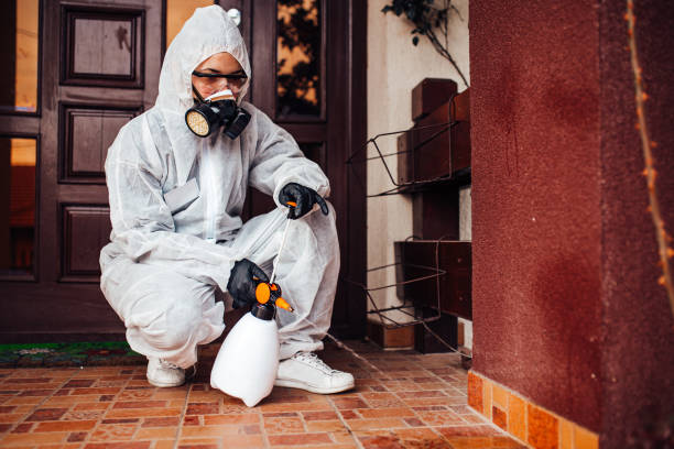 Reliable Bed Bug Control contractor in Ridgewood, NJ by Nex Pest Control