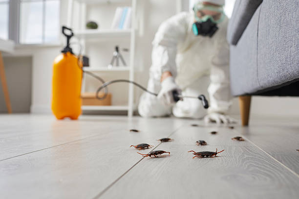 Trusted Fumigation Services service in Ridgewood, NJ - Nex Pest Control