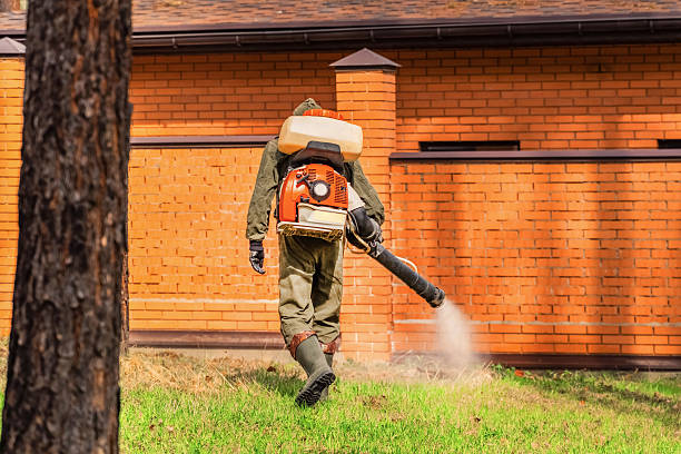 Trusted Emergency Pest Control service in Ridgewood, NJ - Nex Pest Control